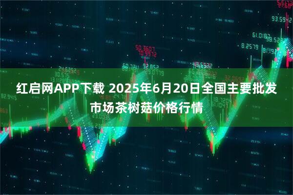 红启网APP下载 2025年6月20日全国主要批发市场茶树菇价格行情