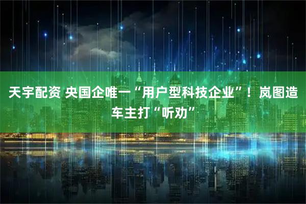 天宇配资 央国企唯一“用户型科技企业”！岚图造车主打“听劝”
