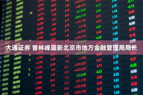 大通证券 曾林峰履新北京市地方金融管理局局长